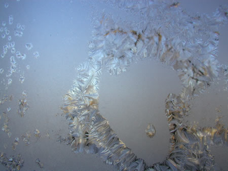 frozen windows